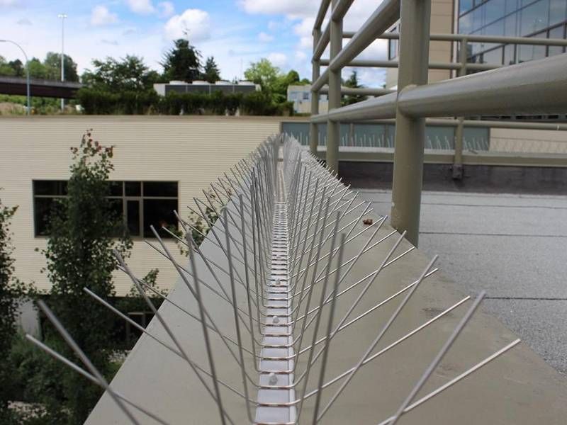 ANR Safety Nets and Invisible Grills providing Balcony Safety Nets in Arekere