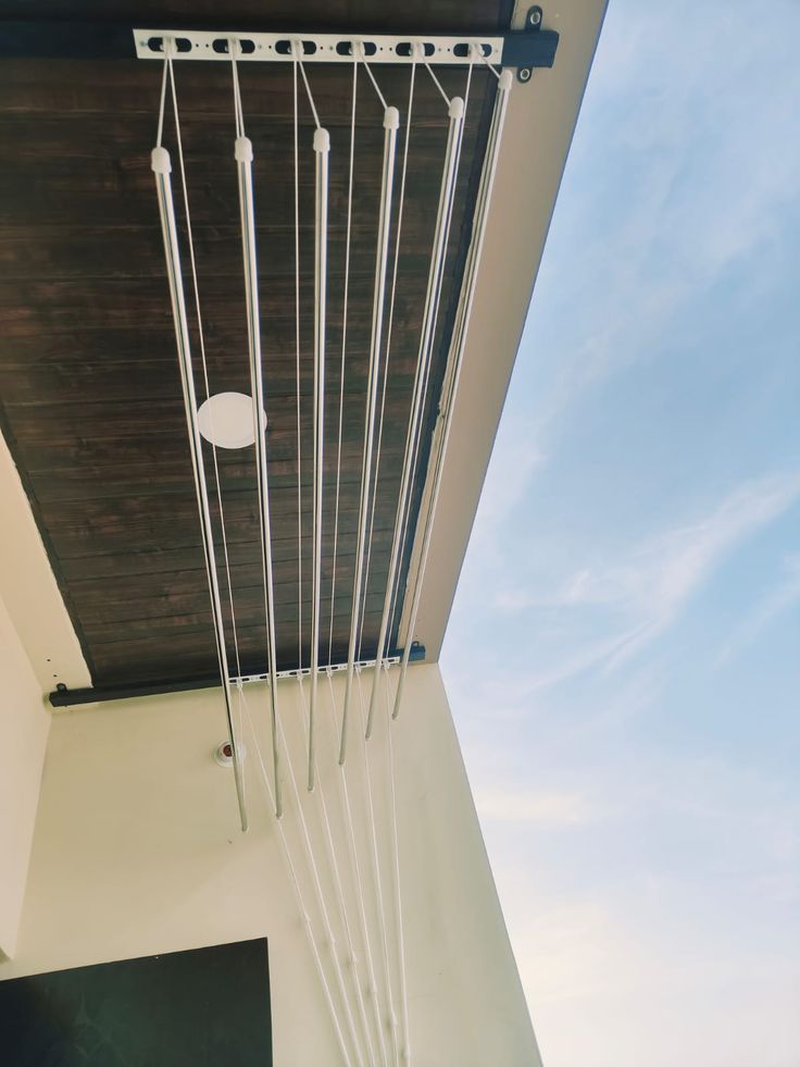 Pigeon Safety Nets
