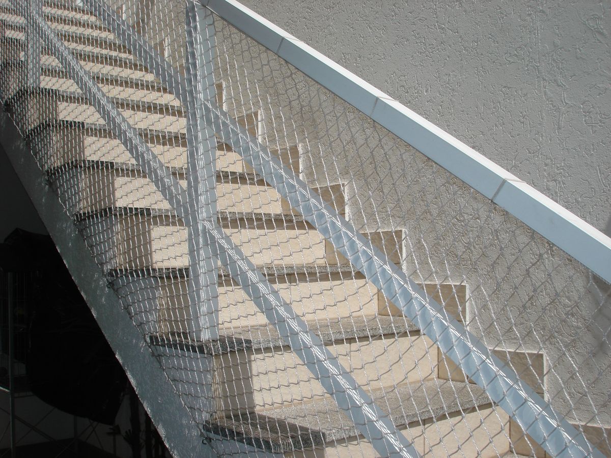 Pigeon Safety Nets